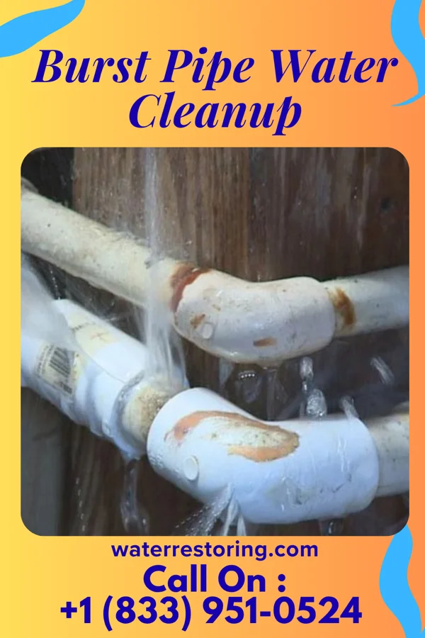 Burst Pipe Water Cleanup in Dorchester, NE